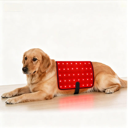 Furrico Red Light Therapy Belt For Senior Dogs